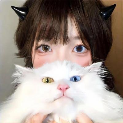 小岛奇谭 在线观看