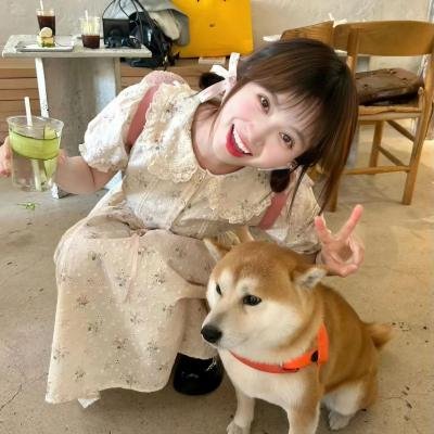 美好的时光 在线观看